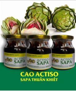 cao atiso sapa nguyên chất