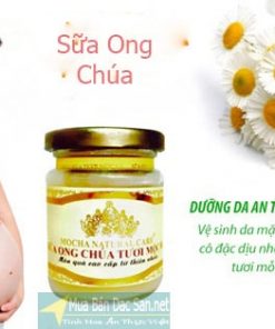 sưa ong chúa 2t- webtretho