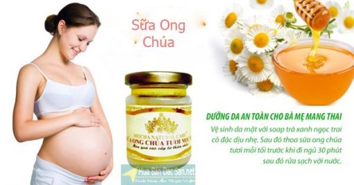 sưa ong chúa 2t- webtretho