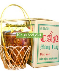 rượu cần Tây Bắc kvafa